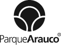 Arauco